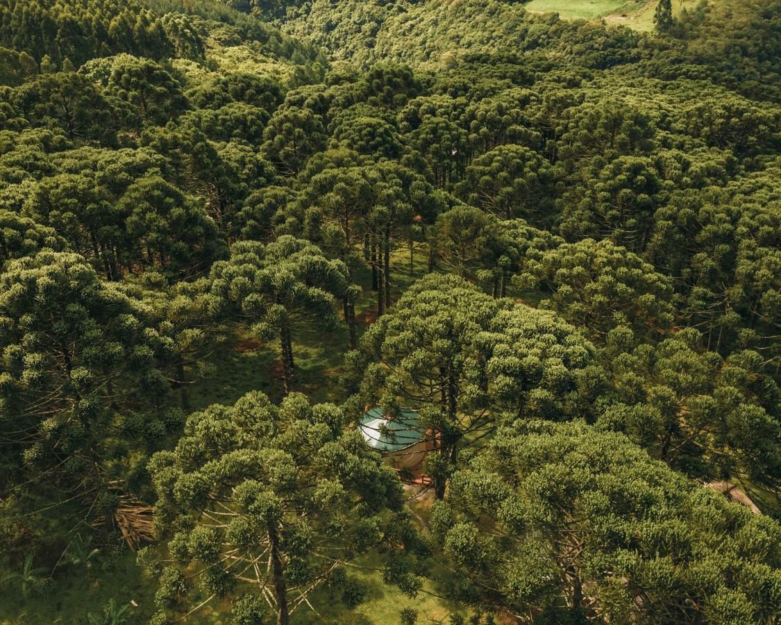 Estancia Las Araucarias Canela Buitenkant foto